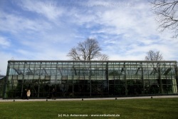 fotografie-29