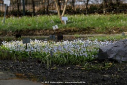 fotografie-59