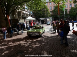 fotografie-12