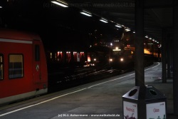 fotografie-8