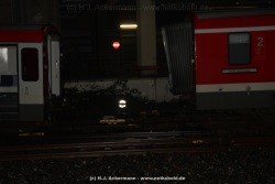 fotografie-19