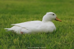 fotografie-17