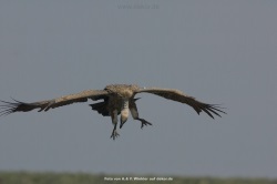 fotografie-4