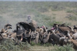 fotografie-88