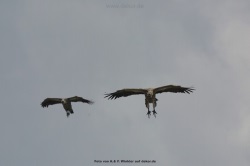 fotografie-198