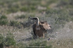 fotografie-1