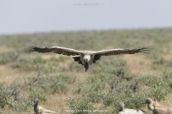 fotografie-27