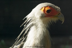 fotografie-17