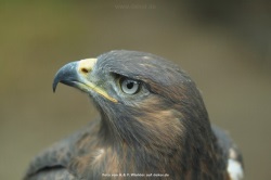 fotografie-28