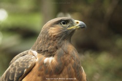 fotografie-82