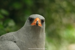 fotografie-100