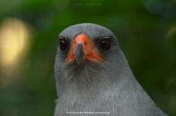 fotografie-128