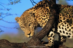 fotografie-186