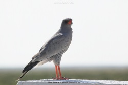 fotografie-5