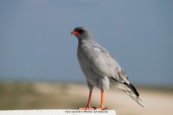 fotografie-7