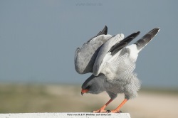 fotografie-8