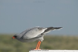 fotografie-13