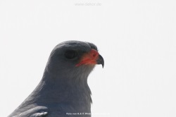 fotografie-19