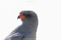 fotografie-21
