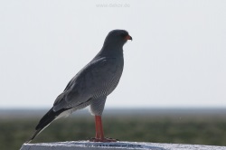 fotografie-43