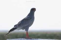 fotografie-45