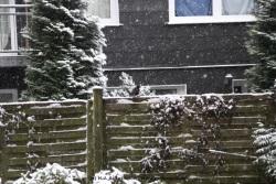 fotografie-1