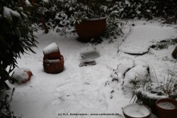 fotografie-9