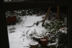 fotografie-10