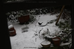 fotografie-11