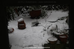 fotografie-13