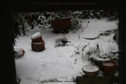 fotografie-14