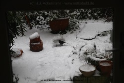 fotografie-15