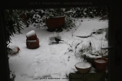 fotografie-16