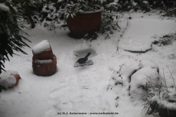 fotografie-18
