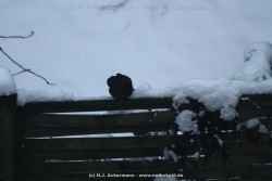 fotografie-19