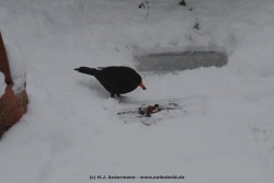 fotografie-20