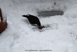 fotografie-21
