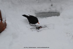 fotografie-22