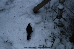 fotografie-37