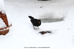 fotografie-40