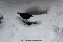 fotografie-44