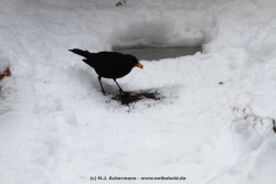 fotografie-45
