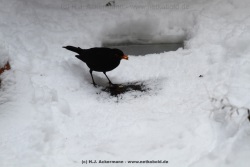 fotografie-46