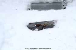 fotografie-50