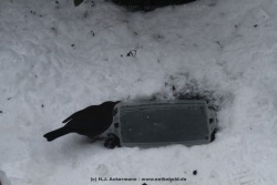 fotografie-54