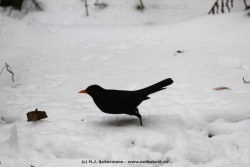 fotografie-60
