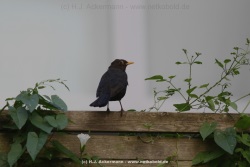fotografie-2