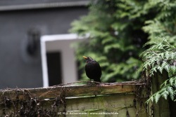 fotografie-15