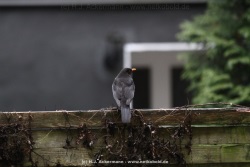 fotografie-17