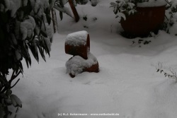 fotografie-1